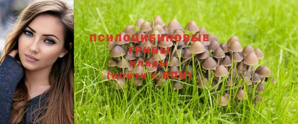 прущий лед Яранск