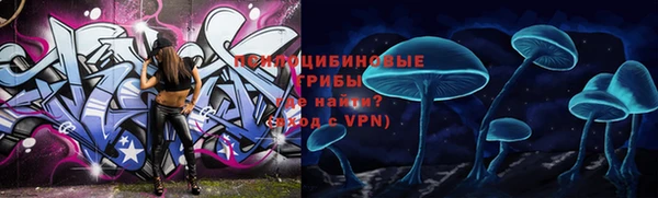 mdpv Няндома