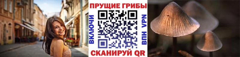 Галлюциногенные грибы Magic Shrooms  где можно купить наркотик  kraken вход  Курчатов 
